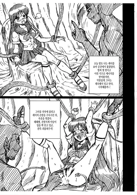 SAILORMOON FILE Hino Rei Gazoushuu