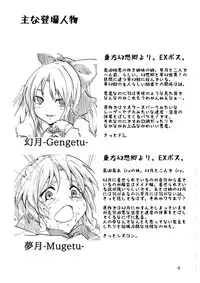 (Reitaisai 10) [Yanagisegawa (Milcara)] Mugen no Yoru no Inmu (Touhou Project)