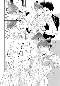 (RTS!!13) [Rototika (Kamishi Yue)] Iwachan no Neko ni Naritai 6 (Haikyuu!!)