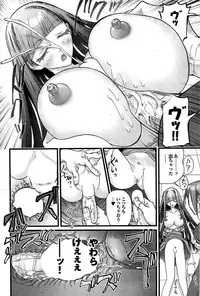 COMIC Purumelo 2007-08 Vol.08