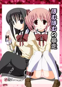 [DreamProject (Yumeno Shiya)] Homu Homu no Bousou (Puella Magi Madoka Magica) [Digital]