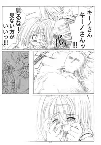 (C69) [SION (Hotori)] ASSUMPTIO (Ragnarok Online)