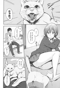 [napata] Sukidarake - Lovely Lover's Love