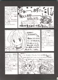 [Shishamo House (Araki Akira)] Shishamo House 4 Osaybow