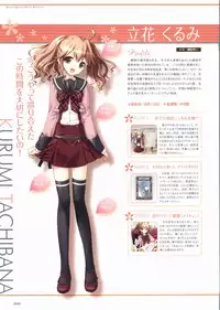 Sakura Sakura Visual Fan Book