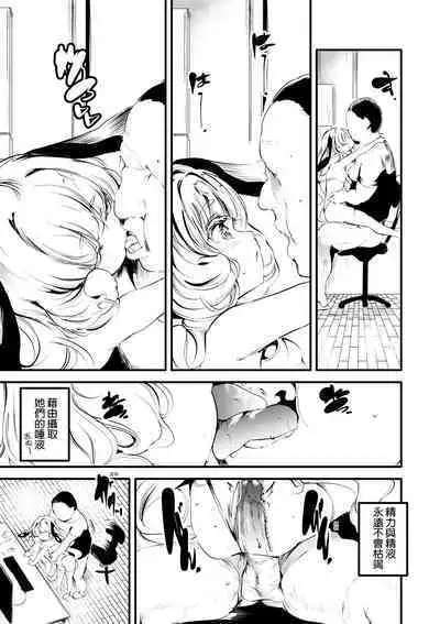 Shinme Tori - symmetry