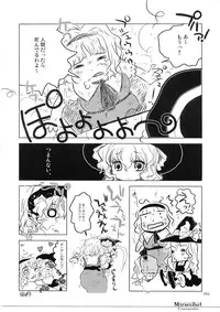 (C74) [Shoujo Zukin (Hatomugi Munmun)] Marecollect (Touhou Project)