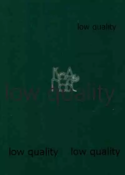 Narmaya to Himitsu no Yoru.